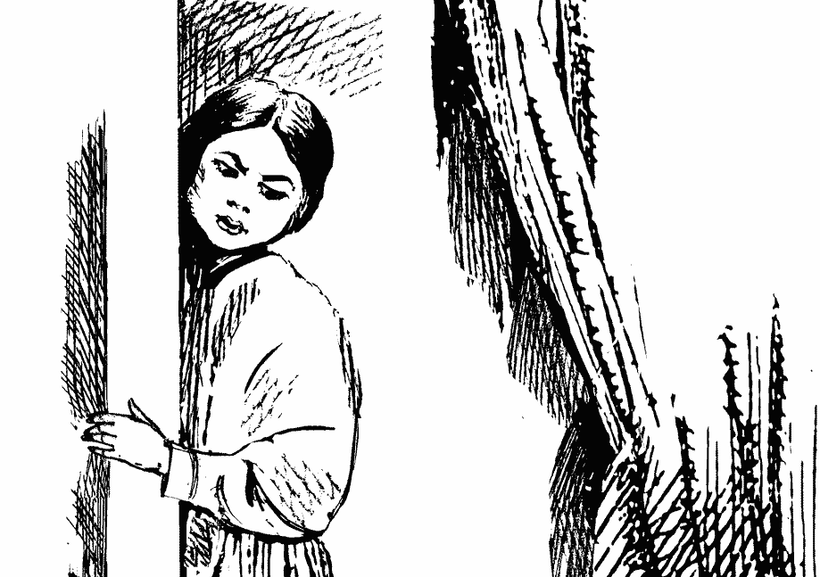 Иллюстрация к 31 главе «Кольцо с рубином» романа «Переселенцы»